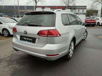 gebraucht VW Golf VIII Variant 1.5 IQ.DRIVE LED/SHZ/ACC/Standheizung