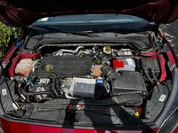 Gebraucht Ford Focus ST-Line X 150 PS (110 kW) 2020 Rot Limousine