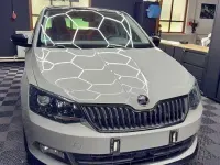 Gebraucht Skoda Fabia Monte Carlo 90 PS (66 kW) 2017 Grau Kleinwagen