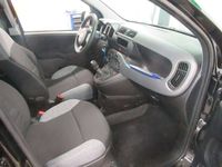 gebraucht Fiat Panda Cross 1.0 GSE City Klima - ZV