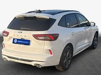 Gebraucht Ford Kuga ST-Line X 186 PS (136 kW) 2024 Frozen white SUV