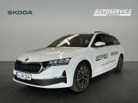 Gebraucht Skoda Octavia 150 PS (110 kW) 2026 Moonweiss metallic Kombi