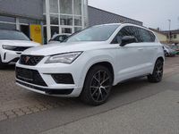 Gebraucht Cupra Ateca Basis 300 PS (220 kW) 2019 Weiß SUV