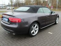 Gebraucht Audi A5 Cabriolet S-Line 239 PS (175 kW) 2010 Grau metallic Cabrio