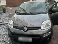 Gebraucht Fiat Panda Easy 69 PS (50 kW) 2017 Grau Kleinwagen