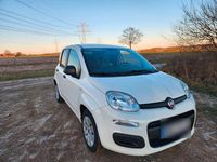 Gebraucht Fiat Panda 69 PS (50 kW) 2016 Weiß Kleinwagen