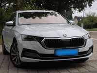 Gebraucht Skoda Octavia First Edition 150 PS (110 kW) 2020 Weiß Kombi