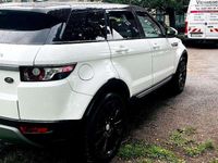 Gebraucht Land Rover Range Rover evoque SE Dynamic 150 PS (110 kW) 2015 Weiß SUV