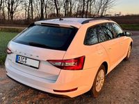 Gebraucht Skoda Superb Active 150 PS (110 kW) 2019 Weiß Kombi
