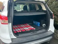 Gebraucht Ford Kuga 120 PS (88 kW) 2015 Weiß SUV