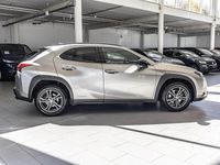 Gebraucht Lexus UX 250h 184 PS (135 kW) 2021 Grau SUV