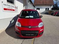 Neu Fiat Panda 69 PS (50 kW) 2025 Passione rot Kleinwagen
