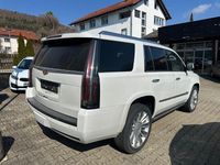 Gebraucht Cadillac Escalade 426 PS (313 kW) 2016 Weiß SUV