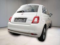 Gebraucht Fiat 500 Basis 69 PS (50 kW) 2023 Weiß Kleinwagen