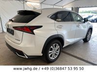 gebraucht Lexus NX300h Business Line LED Navi Vollleder Kamera