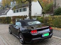 Gebraucht Ford Mustang GT 446 PS (328 kW) 2024 Schwarz Cabrio