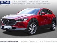 Gebraucht Mazda CX-30 Selection 150 PS (110 kW) 2020 Rot SUV