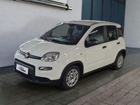 Gebraucht Fiat Panda 69 PS (50 kW) 2023 Gelato weiss Kleinwagen