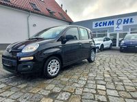 Gebraucht Fiat Panda 69 PS (50 kW) 2021 Nero profondo/cattivo/kyalami/ Kleinwagen