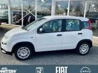 Gebraucht Fiat Panda Cross Cross 65 PS (47 kW) 2025 Weiß Kleinwagen