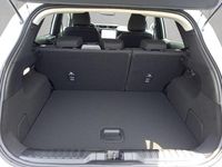 Gebraucht Ford Puma Titanium 125 PS (91 kW) 2025 Weiß SUV