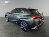 Gebraucht Lexus UX 300e Luxury Line 56 kW (77 PS) 2021 Grün SUV