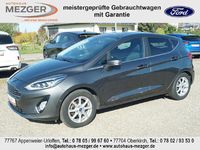 Gebraucht Ford Fiesta Titanium 101 PS (74 kW) 2019 Grau Kleinwagen