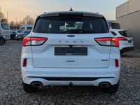 Gebraucht Ford Kuga ST-Line 152 PS (111 kW) 2022 Weiß SUV