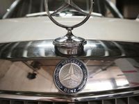 Gebraucht Mercedes C280 185 PS (136 kW) 1975 Beige Limousine