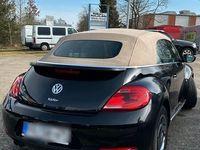 gebraucht VW Beetle Cabrio black helles Verdeck