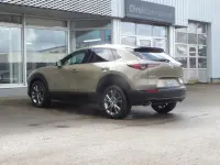Neu Mazda CX-30 Exclusive-Line 186 PS (136 kW) 2026 Braun SUV