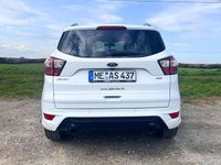Gebraucht Ford Kuga ST-Line 179 PS (131 kW) 2019 Weiß SUV