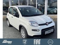 Gebraucht Fiat Panda 69 PS (50 kW) 2025 Gelato weiss Kleinwagen