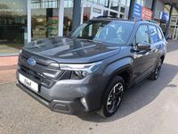 Neu Subaru Forester Trend 136 PS (100 kW) 2026 Grau SUV