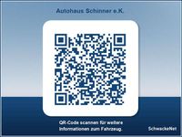 gebraucht Leapmotor T03 37.3kWh