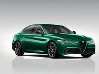 Neu Alfa Romeo Giulia Veloce 209 PS (153 kW) 2026 Verde montreal Limousine