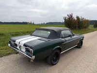 Occasion Ford V8 243 ch (178 kW) 1967 Vert Cabriolet