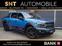 Gebraucht Ford F-150 XLT 329 PS (241 kW) 2019 Blau Pickup