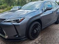 Gebraucht Lexus UX 250h Executive Line 184 PS (135 kW) 2019 Grau SUV