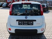 gebraucht Fiat Panda Hybrid 1.0 GSE Flex Light-Paket, Komfort-P