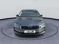 Neu Skoda Octavia Selection 150 PS (110 kW) 2026 Grau Kombi