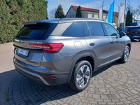 Neu Skoda Kodiaq Selection 150 PS (110 kW) 2026 Grau SUV