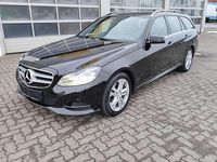 Gebraucht Mercedes E220 170 PS (125 kW) 2016 Schwarz  unilack Kombi