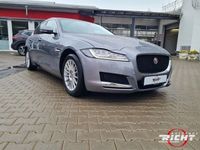 gebraucht Jaguar XF 20d Prestige Navi LED Kamera LHZ 4x SHZ Merid