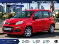Neu Fiat Panda Icon 65 PS (47 kW) 2026 Rot Kleinwagen