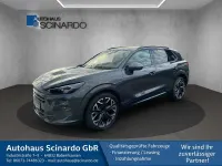 Gebraucht Cupra Terramar VZ 265 PS (194 kW) 2025 Grau SUV