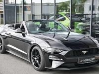 Gebraucht Ford Mustang Premium 290 PS (213 kW) 2019 Schwarz Cabrio