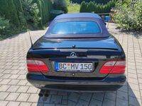 Gebraucht Mercedes CLK320 Elegance 218 PS (160 kW) 2000 Schwarz Cabrio