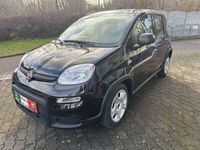 Gebraucht Fiat Panda 69 PS (50 kW) 2024 Schwarz Kleinwagen