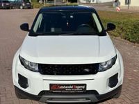 gebraucht Land Rover Range Rover evoque 2.2 eD4 TEMP/PDC/ALCANTARA